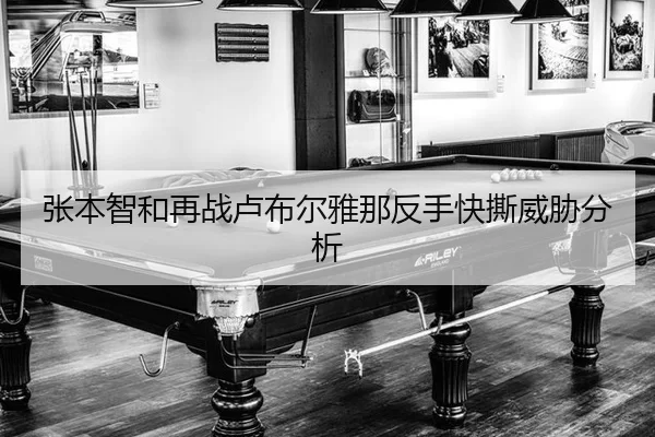 zhang-ben-zhi-he-zai-zhan-lu-bu-er-ya-na-fan-shou-kuai-si-wei-xie-fen-xi-2-216.jpg