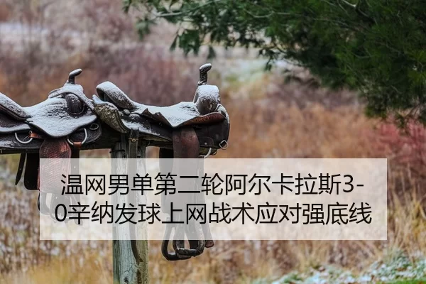 温网男单第二轮阿尔卡拉斯3-0辛纳发球上网战术应对强底线